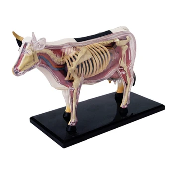 Órgão Animal Anatomia Modelo 4D Vaca Inteligência Brinquedo de Montagem de Ensino de Anatomia Modelo DIY Popular Science Aparelhos